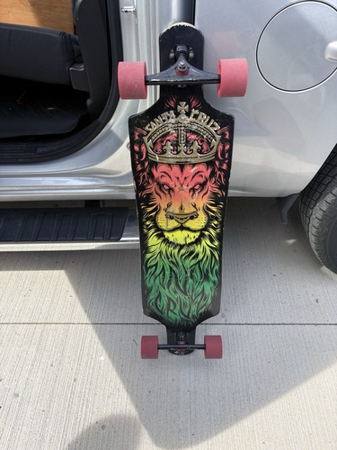 Santa cruz lion - cruz, rasta