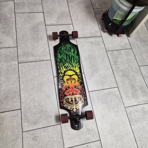 Santa cruz lion god rasta - lion,