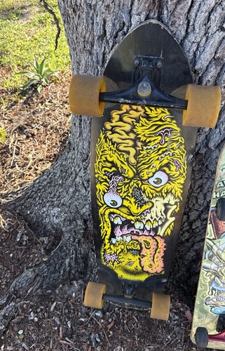 Longboard santa cruz rob face - santa,